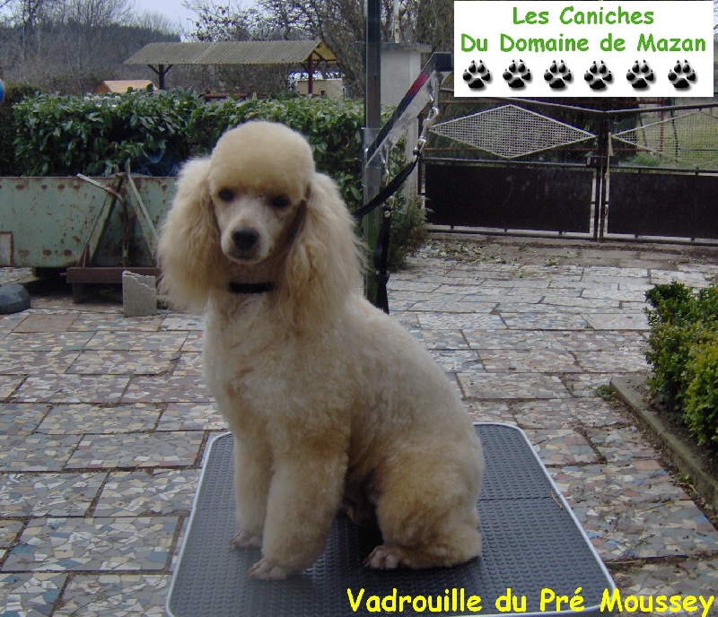 Vadrouille Du pré moussey